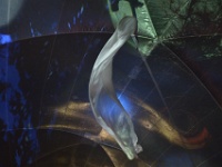 ZUR le boulon-109194